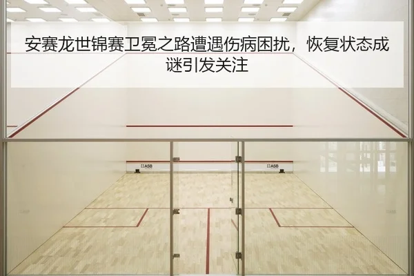 安赛龙世锦赛卫冕之路遭遇伤病困扰，恢复状态成谜引发关注